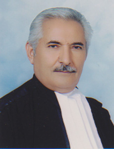 حسینی ناصر الدین