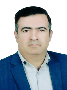 امیر فتوحی