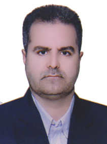 میر محمد شامی
