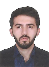 ناصر ناصری