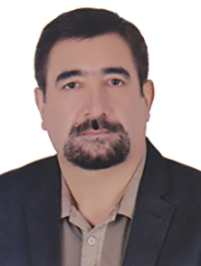 رضا محمدی