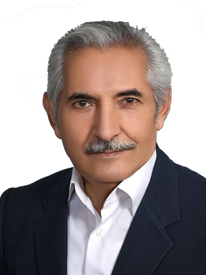 ناصر الدین حسینی